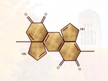 Illustration of melanin's molecular bonds
